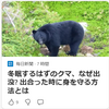 【クマイシス？！＝頻発するクマ被害……2／15－19　ハーフライフル所持条件厳格化の複数の問題点】＃515