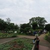 東京都薬用植物園(東京都小平市)