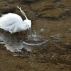 聖書に登場するシンボル　「水」