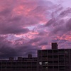 19時過ぎ  西の空