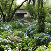 あじさい寺「長尾山妙楽寺」