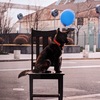 ハンモックのような絆を　#ペットを飼うこと