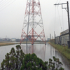 雨音しとしと巣篭もり中年