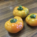 泉南フレンド徒然日記