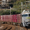 2024/12/28 1063レ EF81 303号機