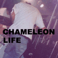 カメレオンライフ　東京　② 楽天市場】CHAMELEON FACTORY カメレオンファクトリー パラ