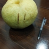 🥭おしらせ🥭と🍐なし🍐