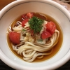 夏の冷やしうどんは奇跡