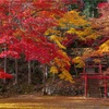 兵庫・丹波篠山 - 錦色に染まる洞光寺