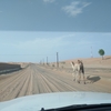 【砂漠ドライブ】UAE街紹介シリーズ⑪砂漠編：Big Red - Wadi Maidaq - Al Bateah