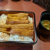 夏の松島はアナゴ丼！か？