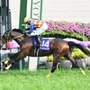 【天皇賞春2024】1番人気テーオーロイヤルが完勝！重賞3連勝で人馬共にG1初制覇