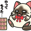【香りと食感：猫の食べる意欲に影響】キャットフード,猫のご飯を変える前に知っておいた方が良い5つの事
