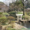 春の小石川後楽園（文京区・神田上水跡編）