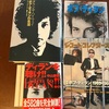 ア・コンプリート・アンノウンだから、好きなように歌える
