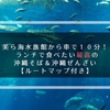 美ら海水族館から車で１０分！ ランチで食べたい最高の沖縄そば＆沖縄ぜんざい【ルートマップ付き】