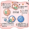 若返りの鍵は「オートファジー」（その１：機能と維持する食事対策）