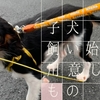 【子犬／準備】飼い始めるときに用意したもの