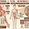 繰り返される五十肩が痛むとき。肩がこって固まったと考える常識を疑って、痰湿と血瘀トラブルがないかを調べましょう