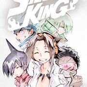 初心者向け シャーマンキングの話の流れをザックリまとめてみた 全巻解説 人生おもしろ 漫画8割 音楽2割の考察ブログ
