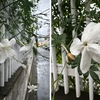 ジャスミンの仲間／ジャスミン・茉莉花を詠んだ短歌　　ジャスミンが咲いているお宅を通りかかりました．PictureThisの判定は「ロイヤルジャスミン」．ソケイ属Jasminumには，他に茉莉花，シロモッコウ，オウバイなど．　　茉莉花のきよらに白き卓かこみ玻璃（はり）のうつはの飲み物を飲む　鹿児島寿蔵　　もみぢせる鉢の茉莉のやさしければ空ゆく命長しと思ひぬ　吉田正俊　　茉莉の花昔の花にあらざるを嘆きつつ保ち十余年経ぬ　柴生田稔　　ジャスミンの白き小花の匂う夜を街へ探しに出る〈失せし青春〉　浅田雅一