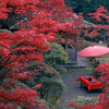 【京都のススメ】紅葉を見るなら、１日限定１００人の超穴場スポットへ