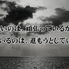 つらいのは、頑張っているから… :  詠み人知らず