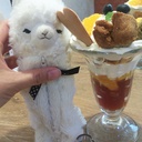ららちゃん日記〜天然色〜