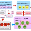 水換えのタイミングについて考えてみました。(結)