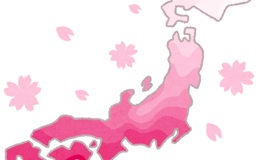 記事を見る