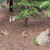 北海道で一番人気の動物園