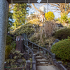 【７１】渋谷区千駄ヶ谷　鳩森八幡の富士塚