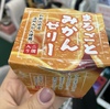 まるごとみかんゼリー🍊