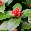 「私でも稼げるの?!」〜クラウドソーシング体験〜