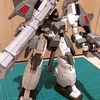 HG 1/100 サーペントカスタム 【ガンプラ】