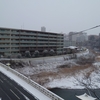 仙台　広瀬川　冠雪