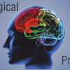 Neurological Disorder- 4 Different Varieties Of Stress!