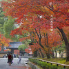 鹿苑寺(金閣寺)