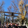 そりゃそーだ、蛇窪神社は大行列