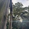 「ずっと欲しくてたまらないのに、いまこの手に無いもの」が持つ意味。