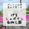 伊豆シャボテン動物公園は、動物との距離が近くペット連れでも入れる最強の動植物園