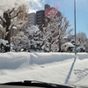 雪降る札幌!天気日記☆～暑くて雪の降らない地域の方々必見!!!～2/24