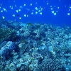 2024年夏 久米島へ　その７