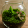 🌿✨苔テラリウムとフィットニアの癒し空間 ─ 小さな森を暮らしに迎える楽しみ方【保存版】
