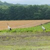 鱒釣りの旅