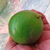 全員集合