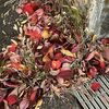 吹き溜まりの紅葉