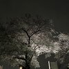 （4/9火）夜桜