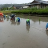 菰野町の初夏の風物詩