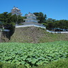 島原城はかっこよかった